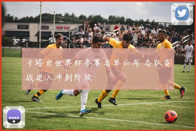 卡塔尔世界杯参赛名单公布 各队备战进入冲刺阶段